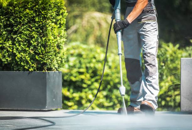 Best Boat and Dock Cleaning  in San Juan, TX