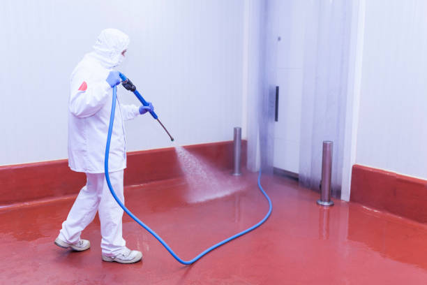 Best Patio and Deck Pressure Washing  in San Juan, TX
