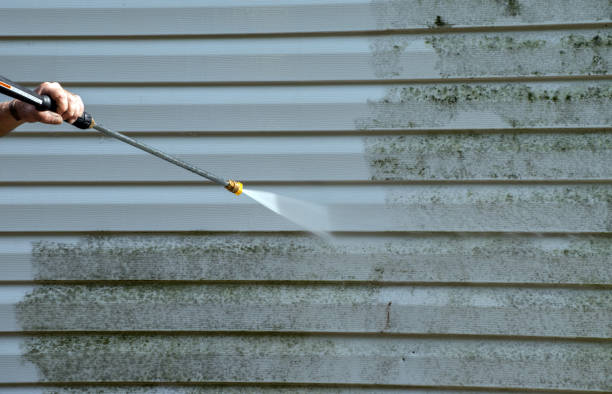 Best Fence Cleaning  in San Juan, TX