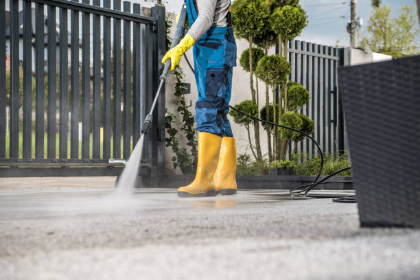 Best Building Exterior Washing  in San Juan, TX