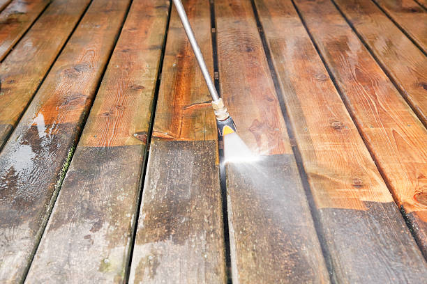 Best Driveway Pressure Washing  in San Juan, TX